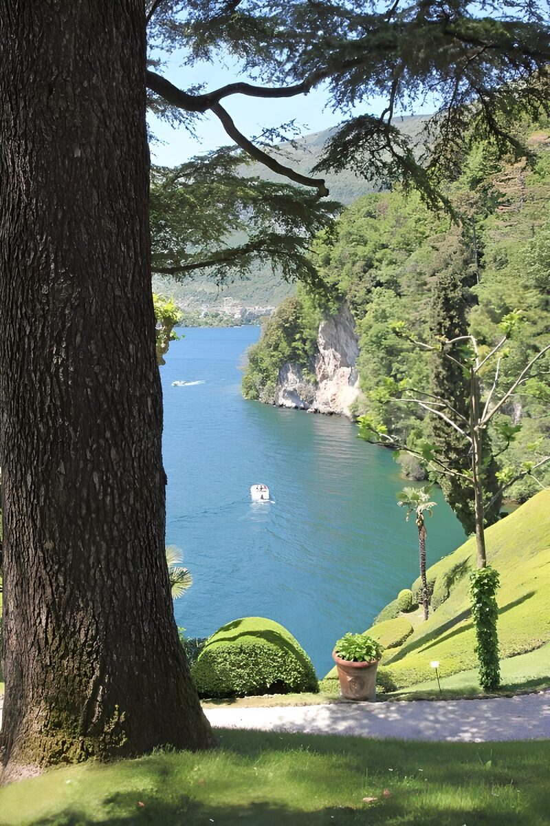 Sommerlicher Blick auf den See