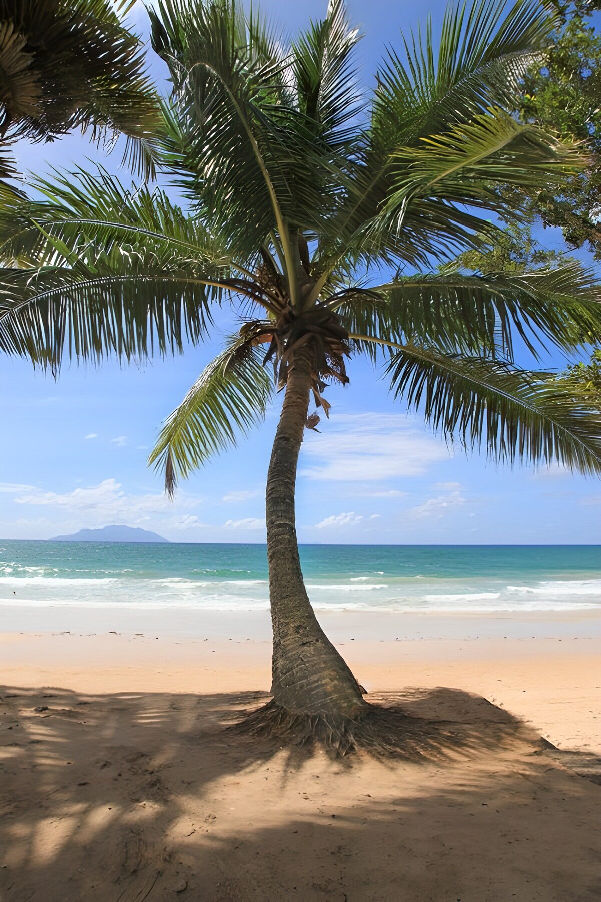 Palmenstrand mit blauem Himmel