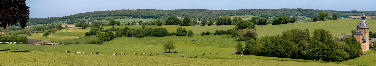 Ländliche Idylle mit Kühen und Landschaft