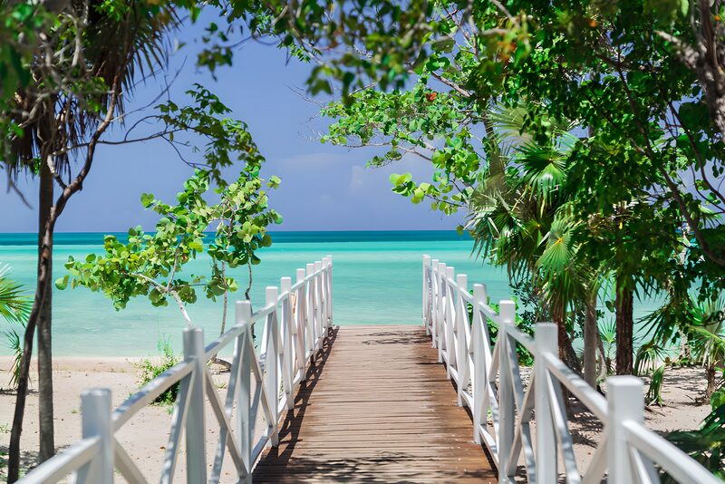 Ein Traumstrand unter Palmen