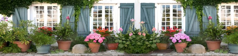 Blumenpracht vor einem charmanten Haus