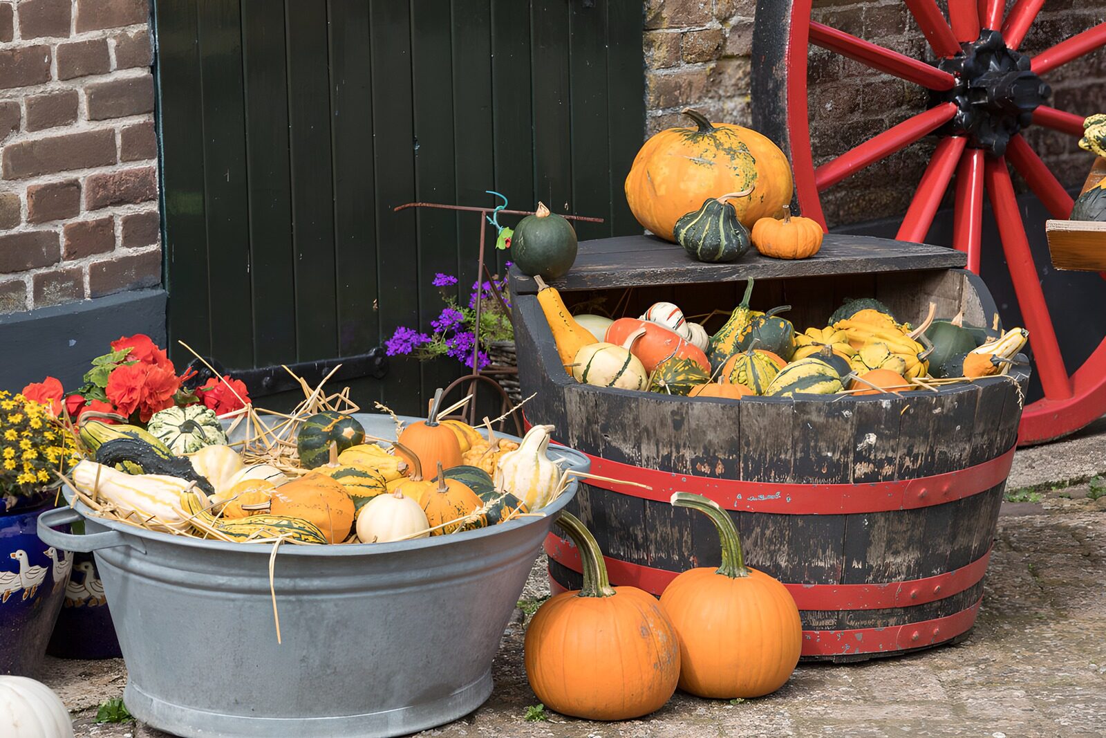Bunte Kürbisse im Herbst