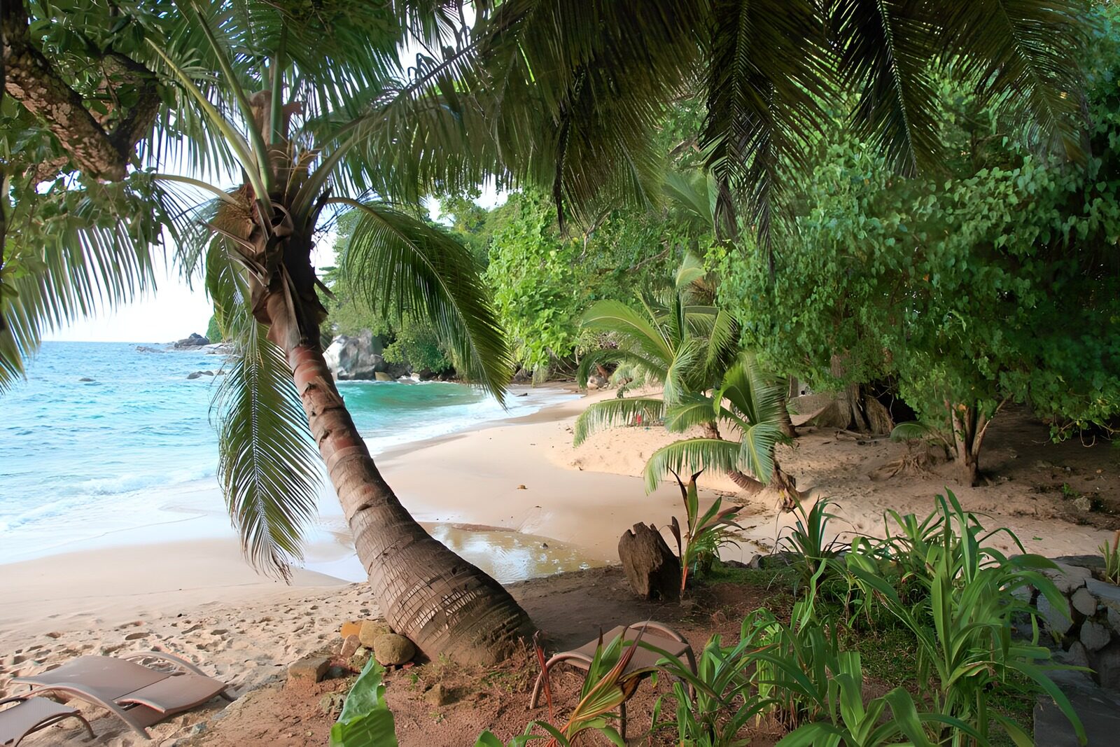 Tropischer Strand mit Palmen