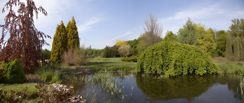 Friedlicher Garten mit Teich und Bäumen