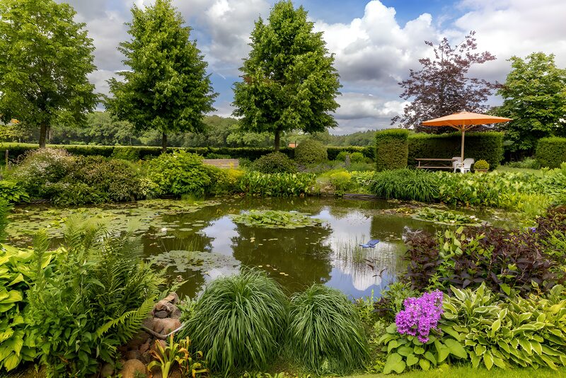 Friedlicher Garten mit Teich und Pflanzen