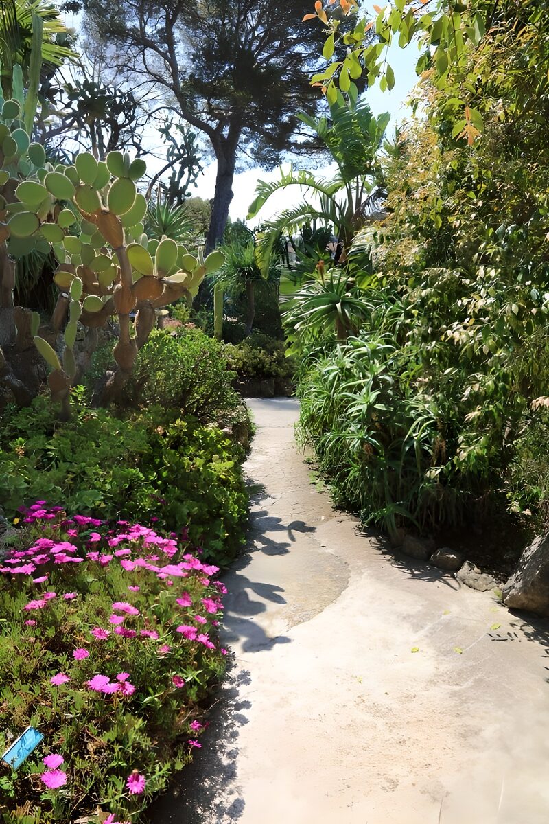 Blühender Gartenweg im Sonnenschein