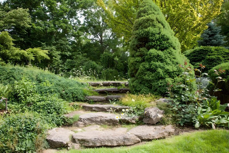 Gemütlicher Gartenweg mit Steinen