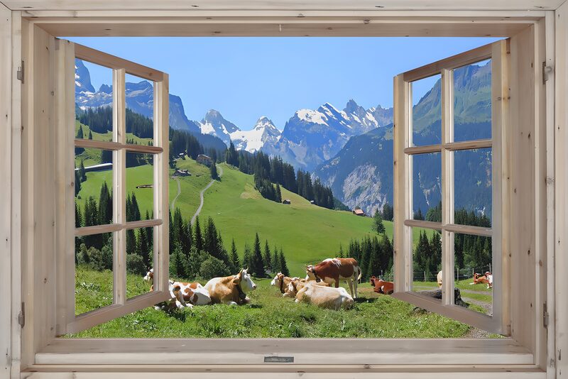 Ausblick auf die Alpenwiesen