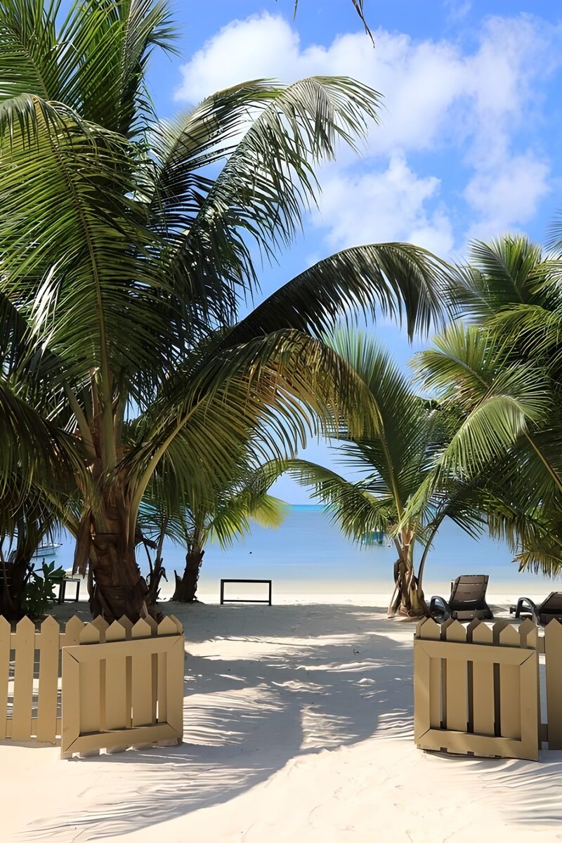 Tropischer Strandzugang