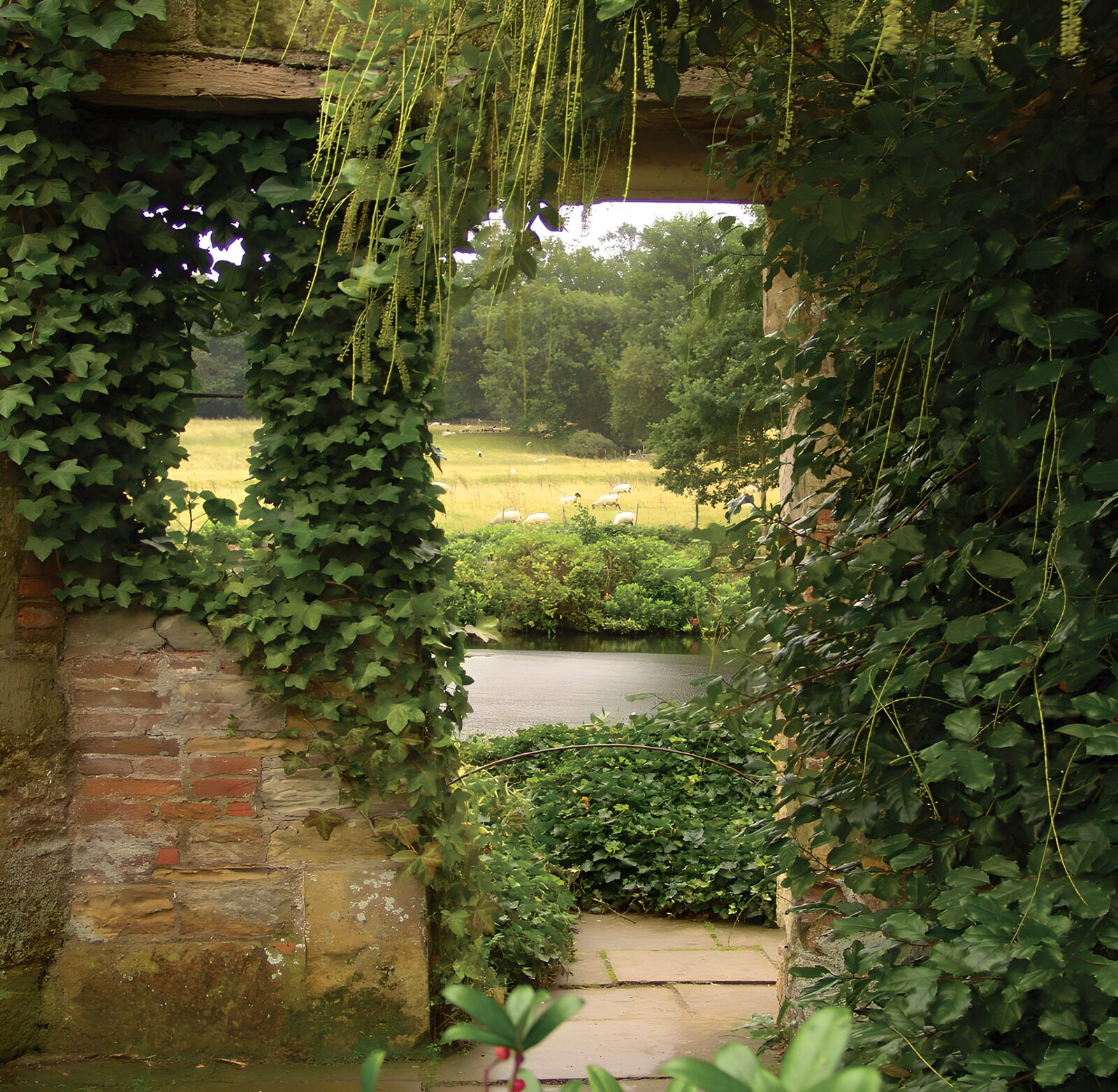 Grüner Durchgang zum ruhigen Wasser