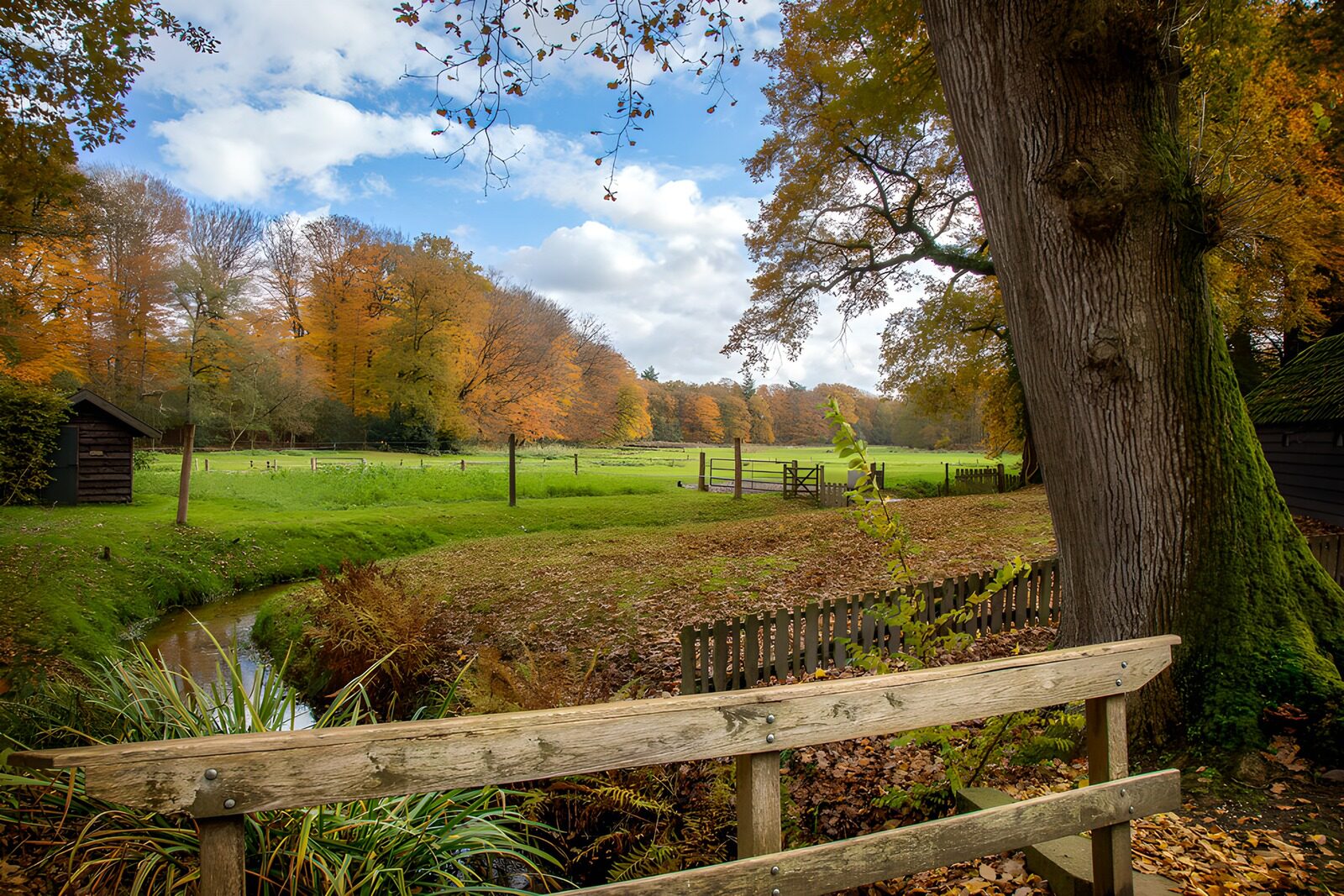 Herbstlandschaft mit Fluss und Bäumen