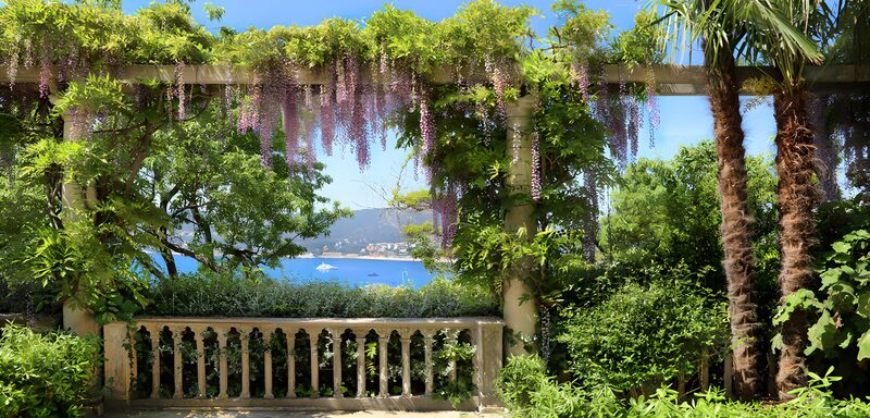Blühende Pergola mit Meerblick