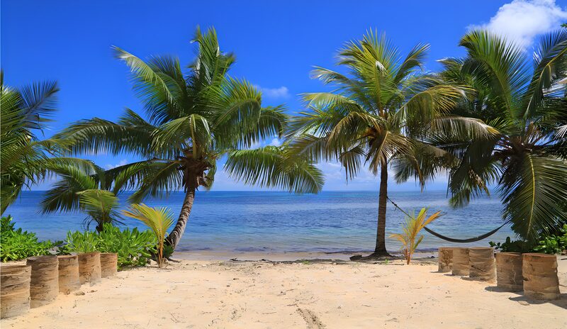 Paradiesischer Strand mit Palmen