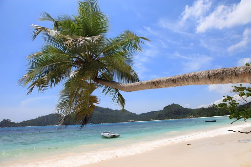 Tropischer Strand mit Palmen