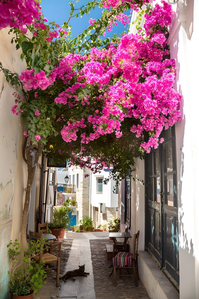 Blühende Gasse mit Katzen