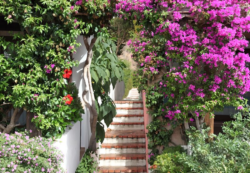 Blumenberankte Treppe in der Natur