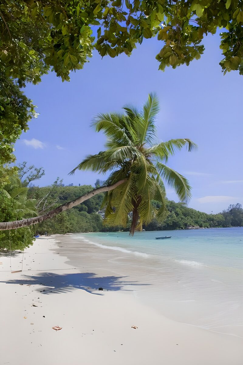Paradiesstrand unter Palmen