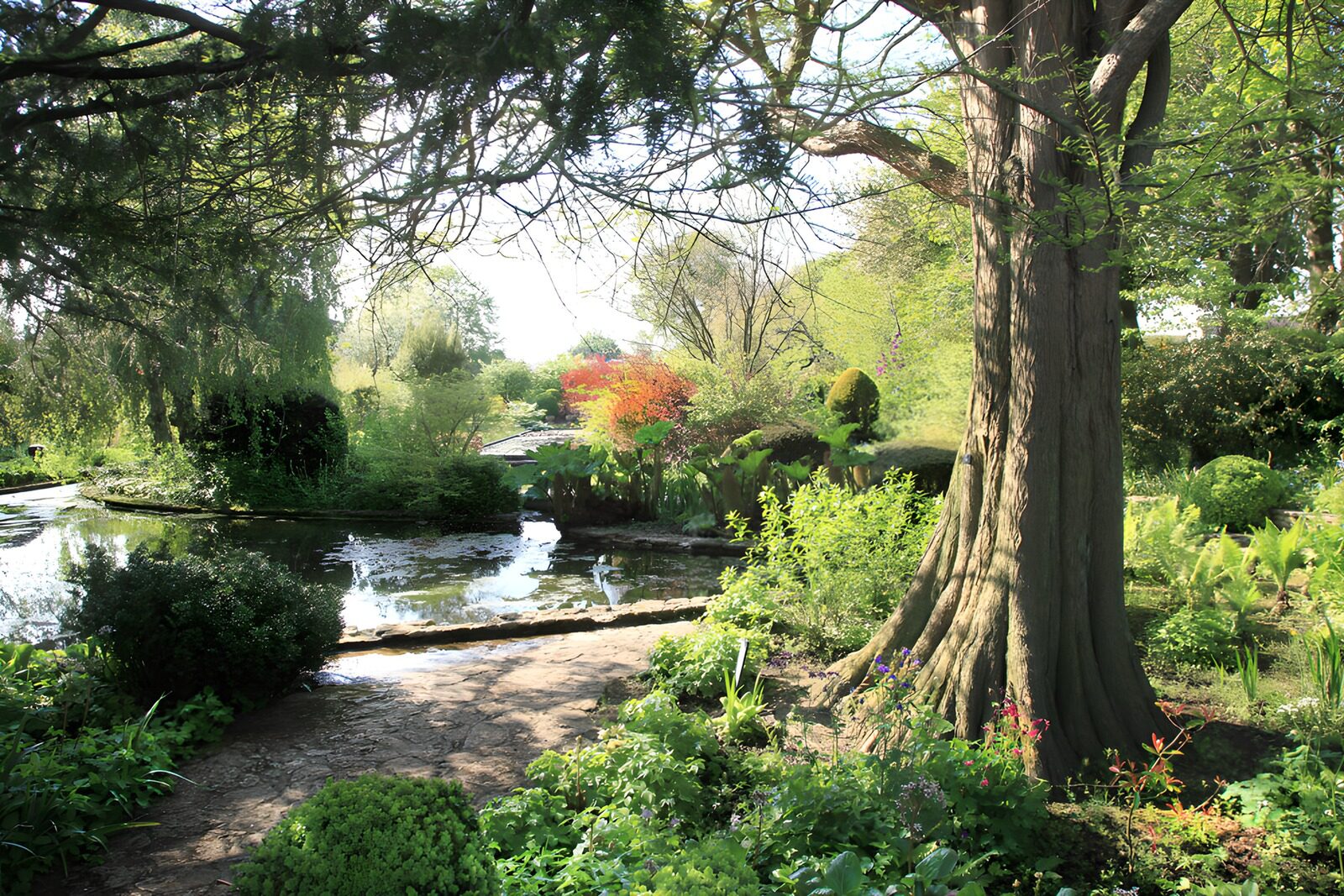 Ruhiger Garten mit Teich im Frühlingslicht