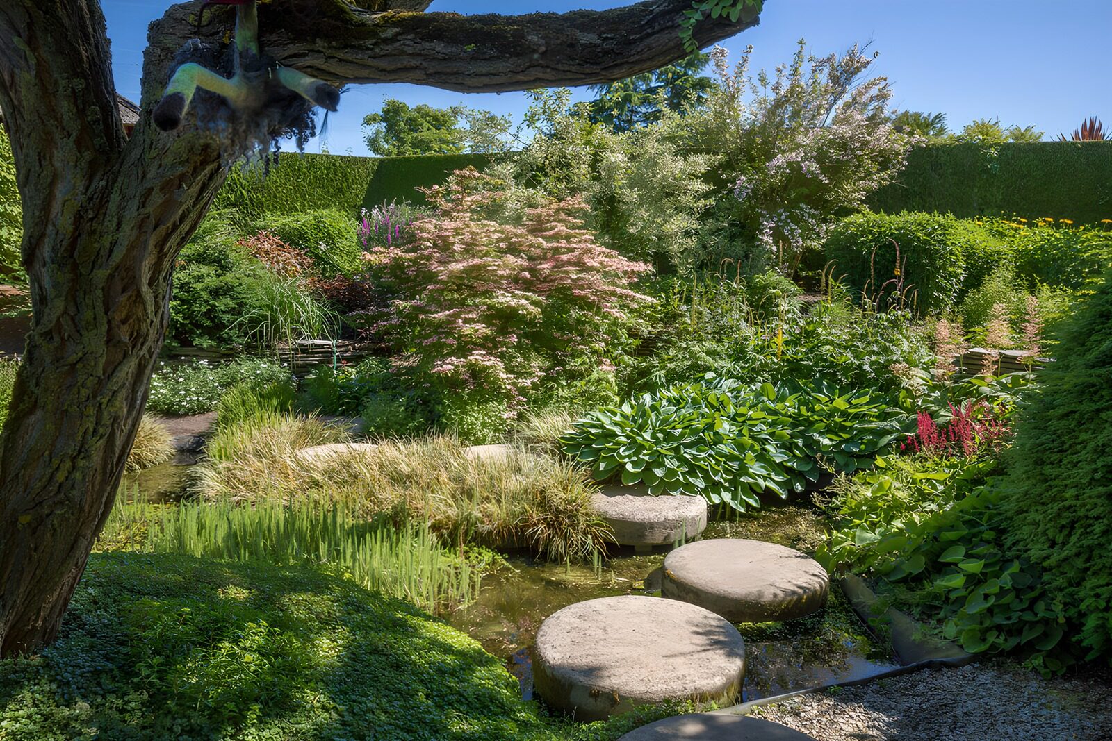 Idylle im Garten mit Wasserstelle