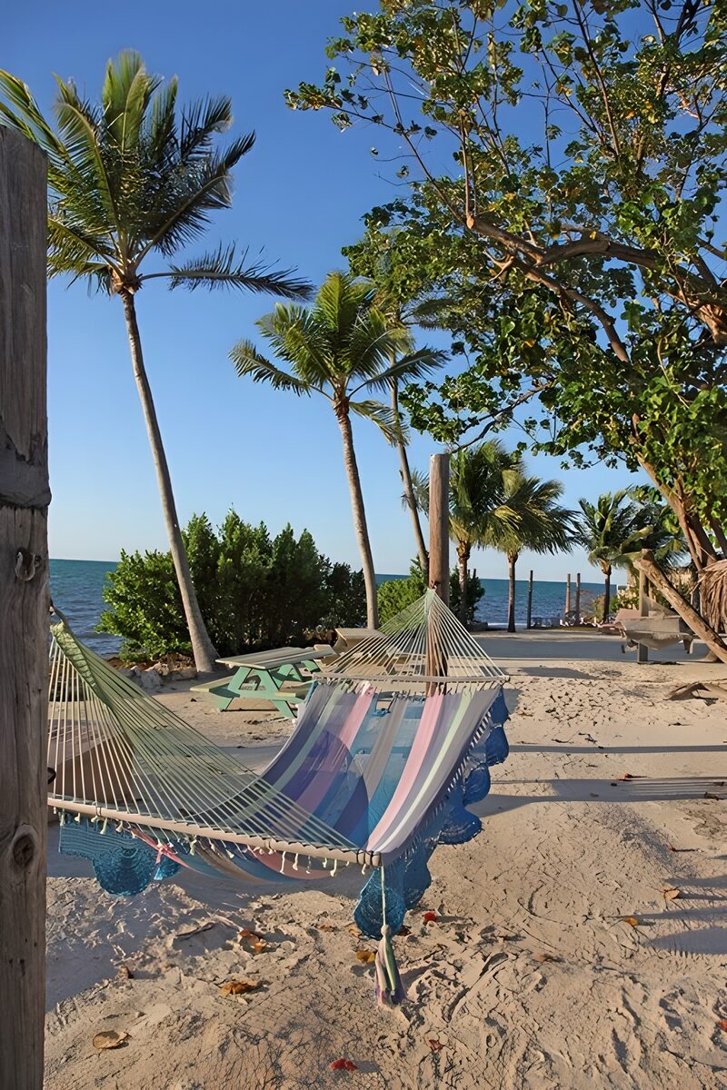 Hängematte am Strand unter Palmen