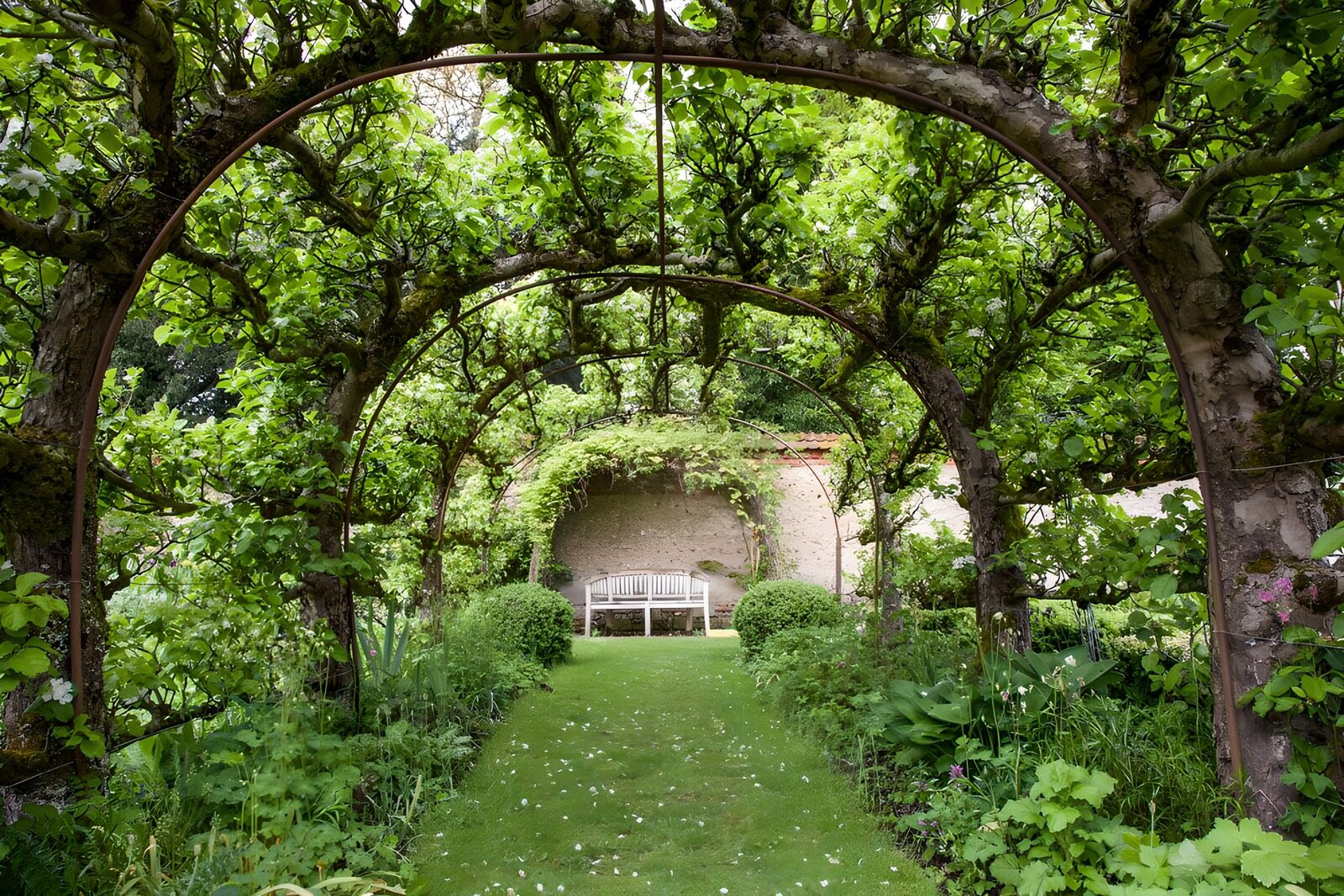 Grüner Gartenbogen mit Bank