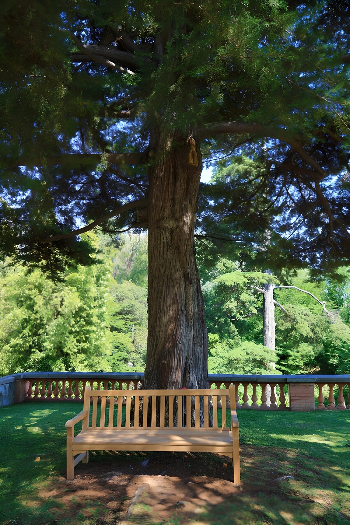Ruhiger Platz unter dem Baum
