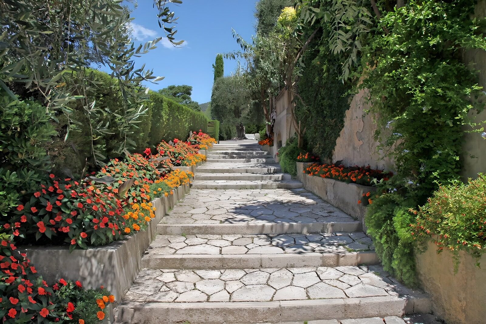 Blühende Treppe im sonnigen Garten