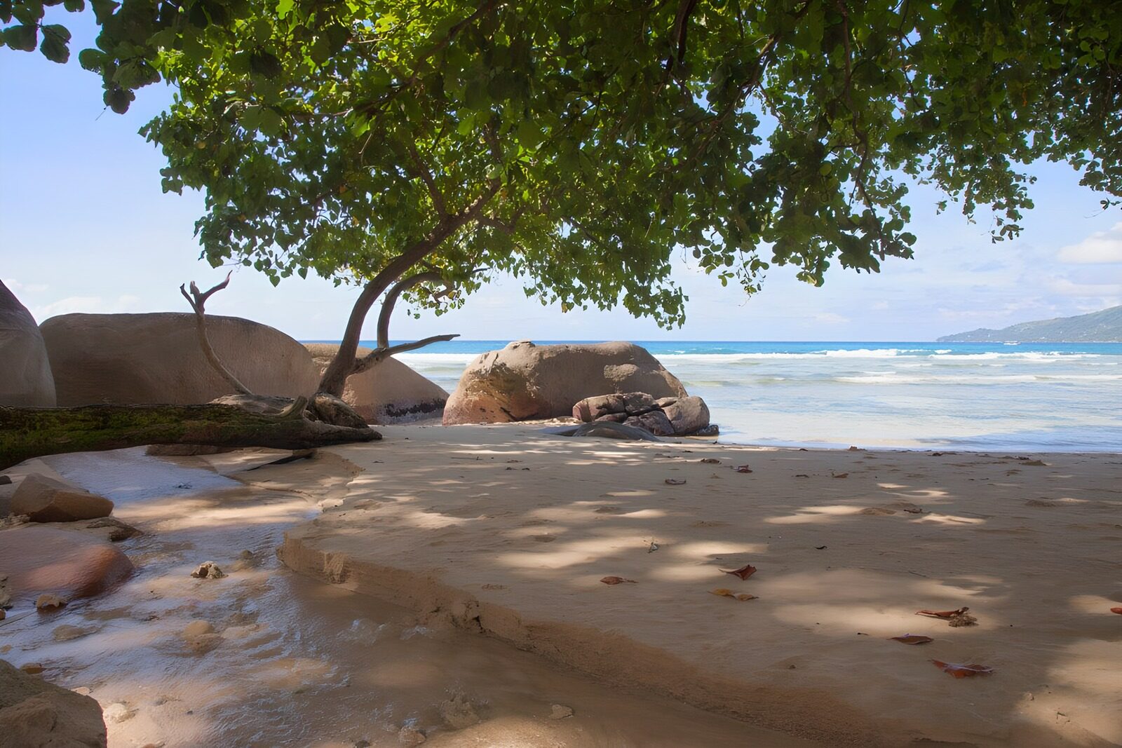 Ruhe am Strand unter den Bäumen