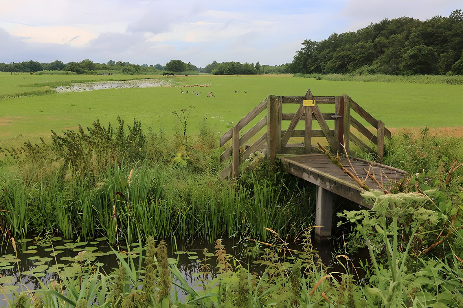 Friedliche Landschaft mit Holzsteg