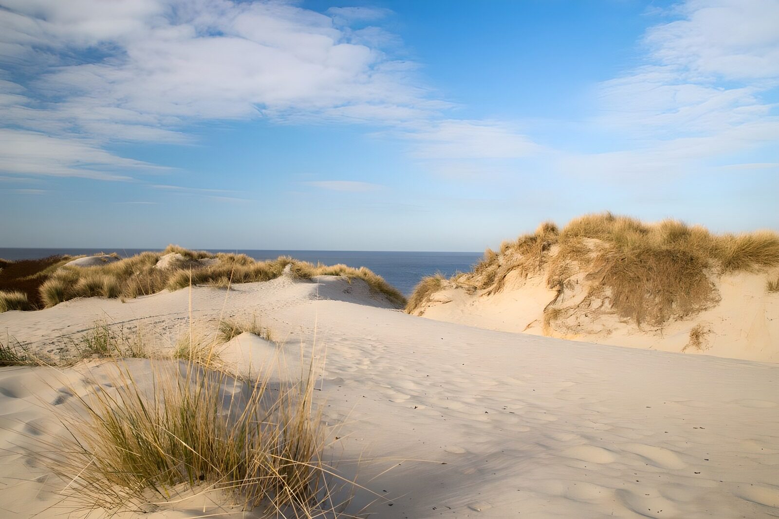 Sanddünen am Meer unter blauem Himmel