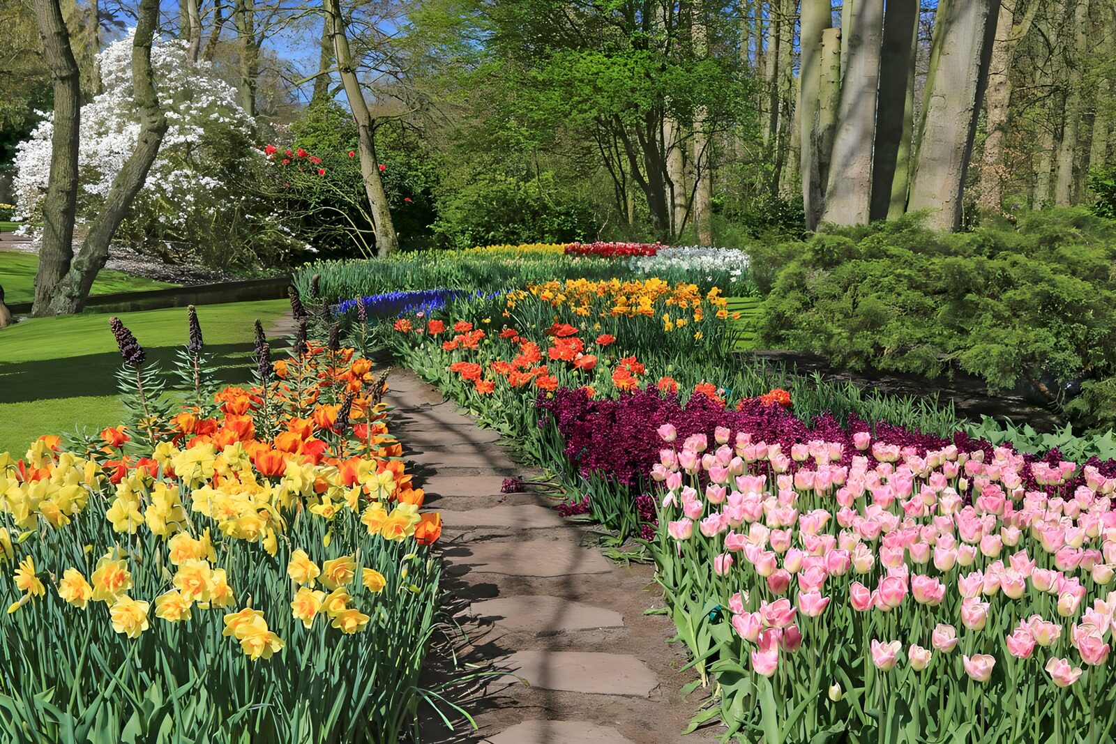 Bunte Blumenpracht im Frühling