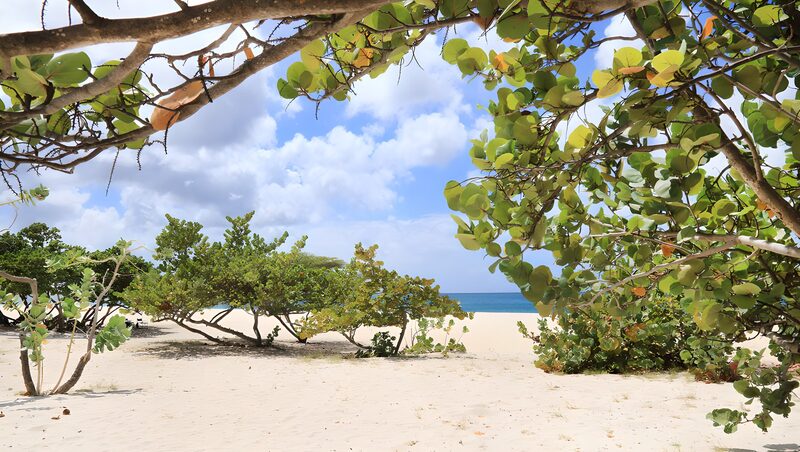 Ruhige Strandlandschaft mit Vegetation