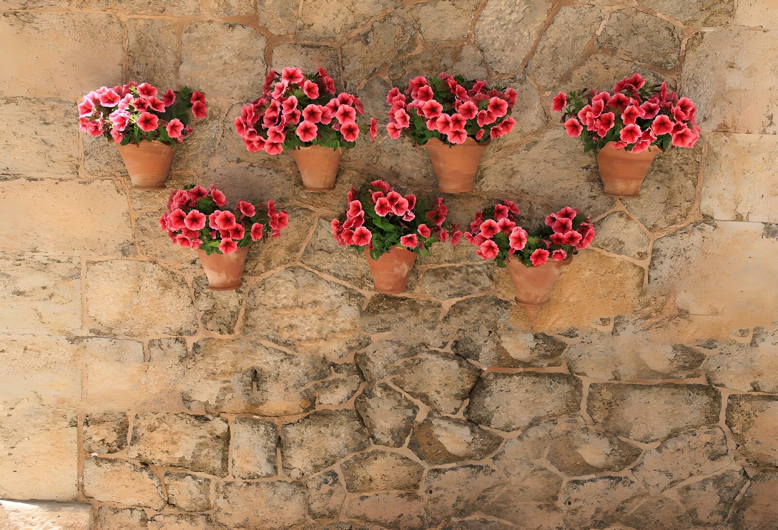 Blühende Blumen an einer Steinmauer