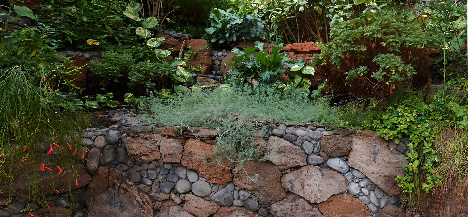 Grüner Garten mit Steinterrasse