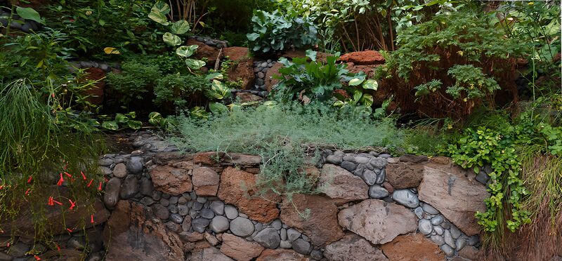 Grüner Garten mit Steinterrasse