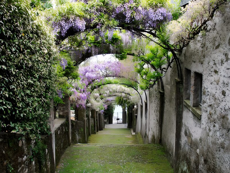 Blütenpracht im Gartenweg