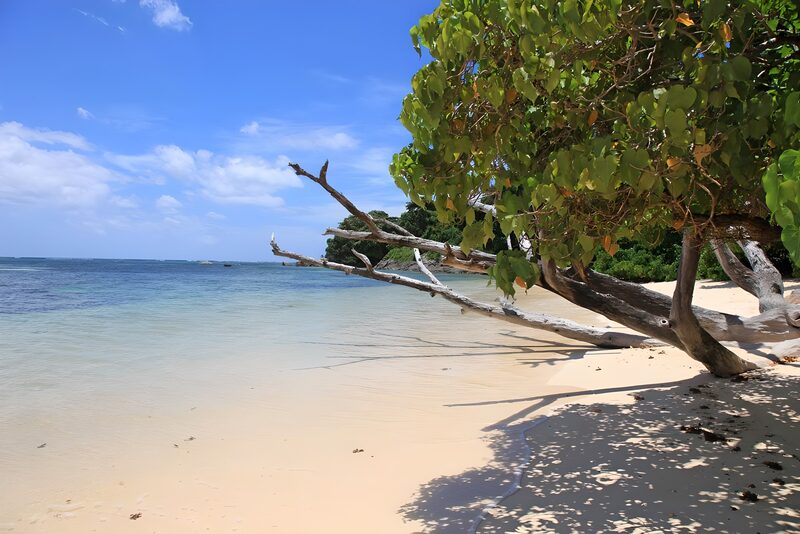 Traumstrand mit Palmen und klarem Wasser