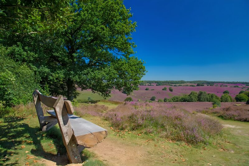 Ruhige Bank mit Aussicht auf die Heide
