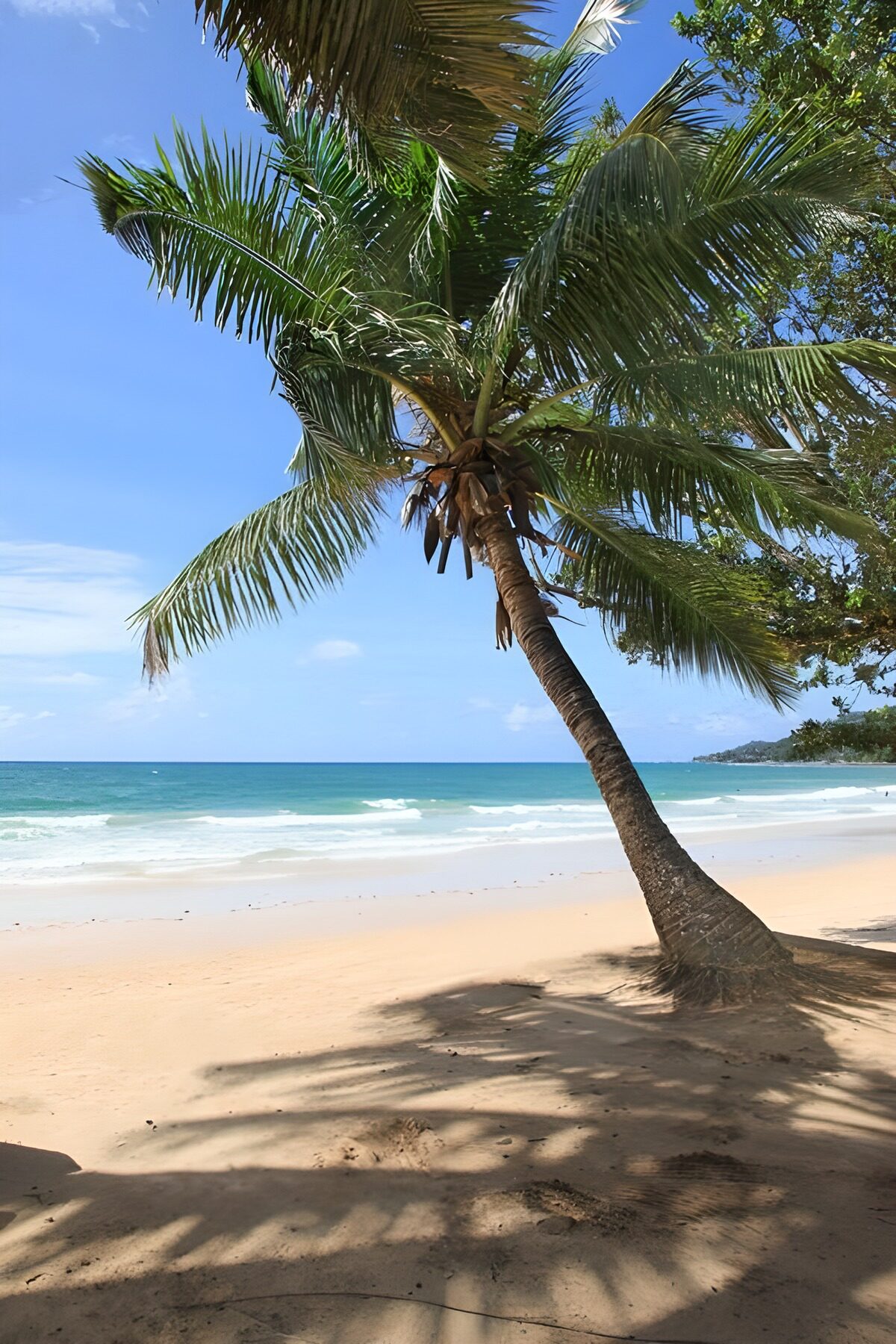 Palmen am Strand unter blauem Himmel