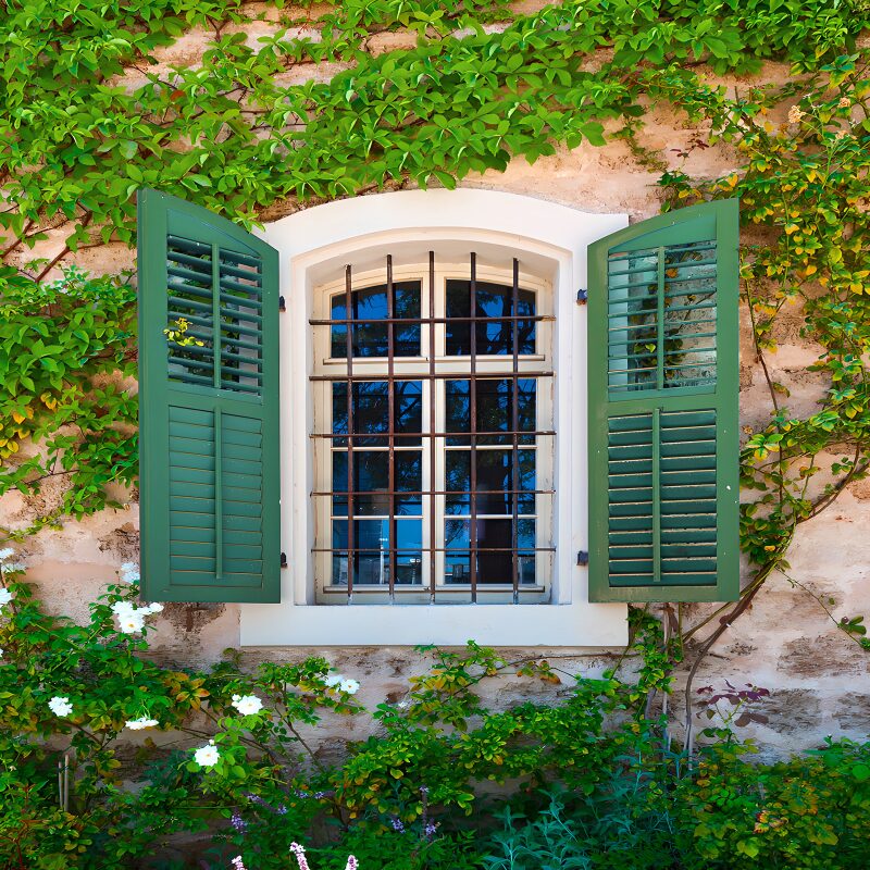 Fenster mit grünen Läden und Pflanzen