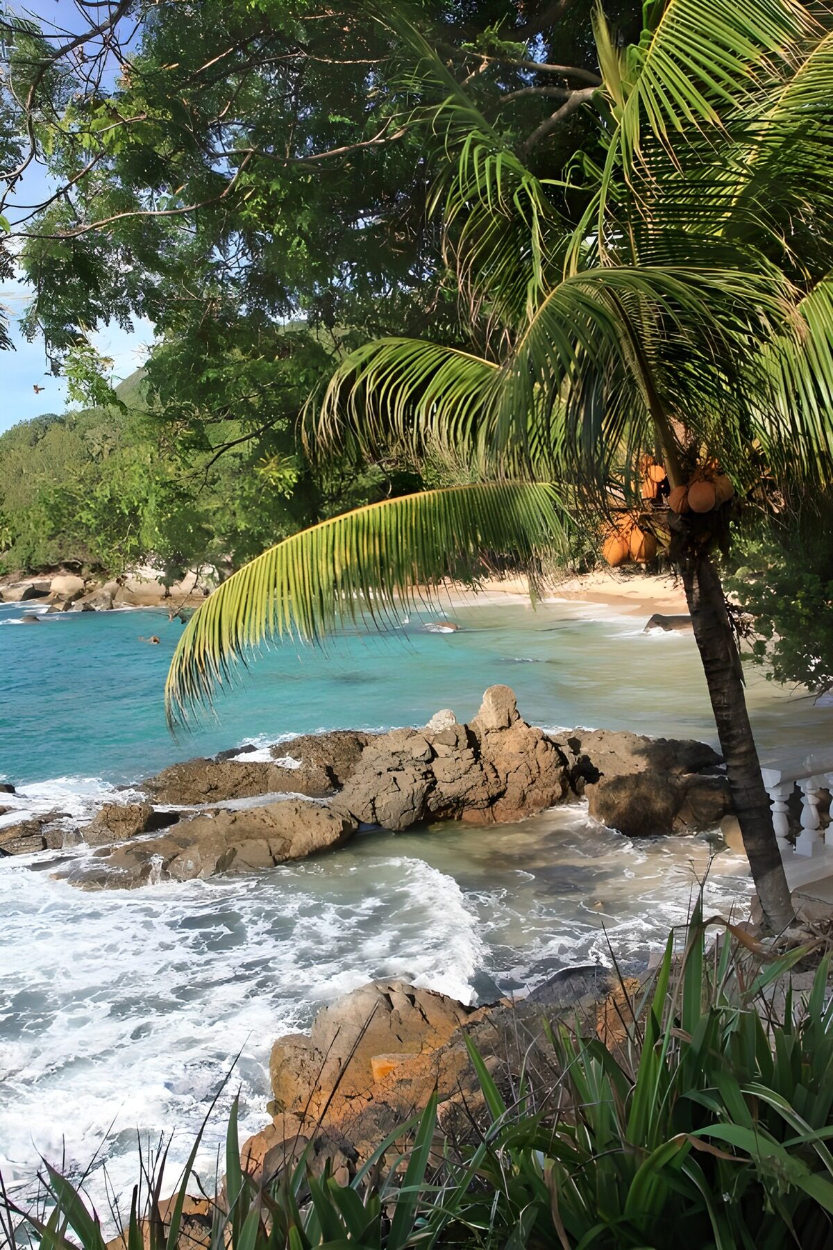 Tropischer Strand mit Palmen