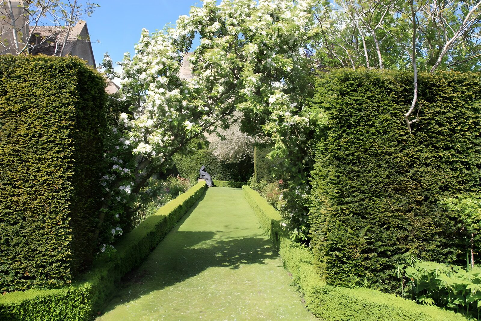 Ruhiger Garten mit blühenden Bäumen