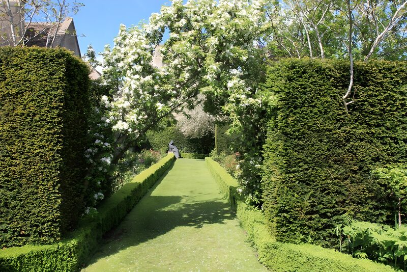 Ruhiger Garten mit blühenden Bäumen