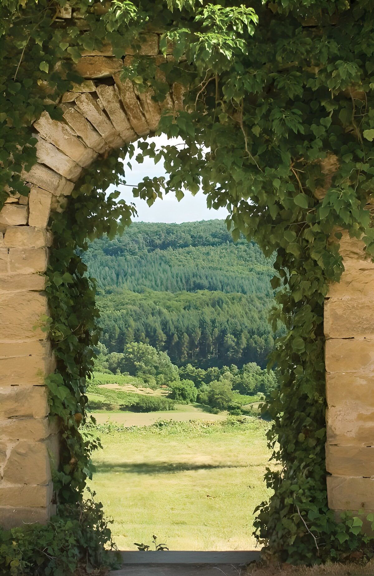 Durchgang zur grünen Landschaft