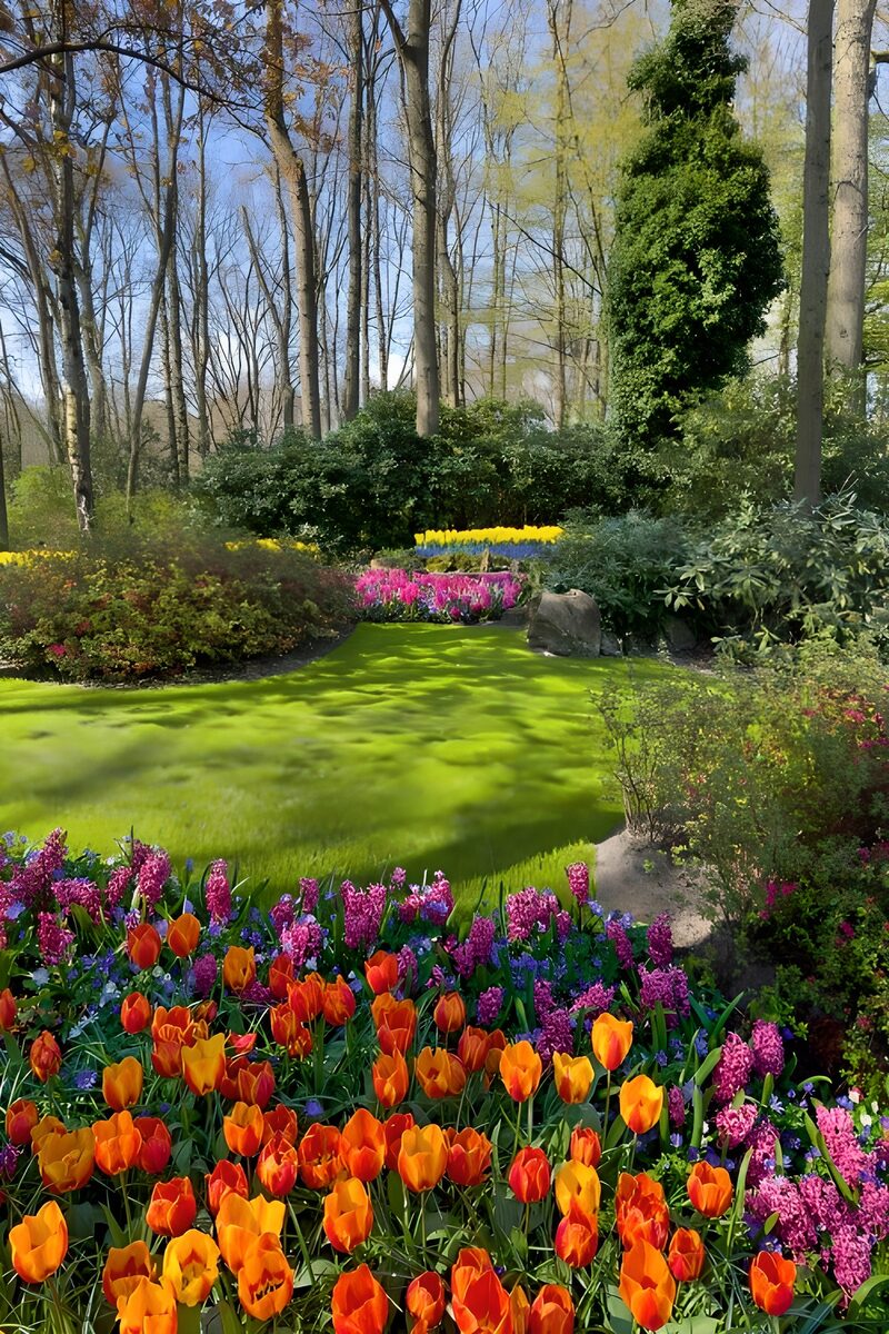 Farbenfroher Frühlingsgarten