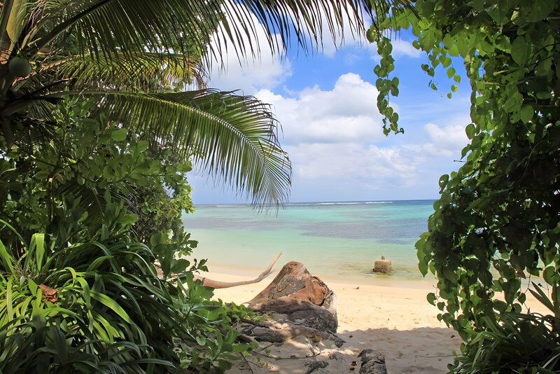 Paradiesischer Blick auf den Strand