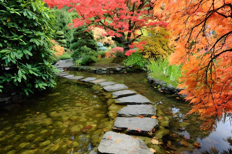 Zen-Garten mit herbstlichen Farben