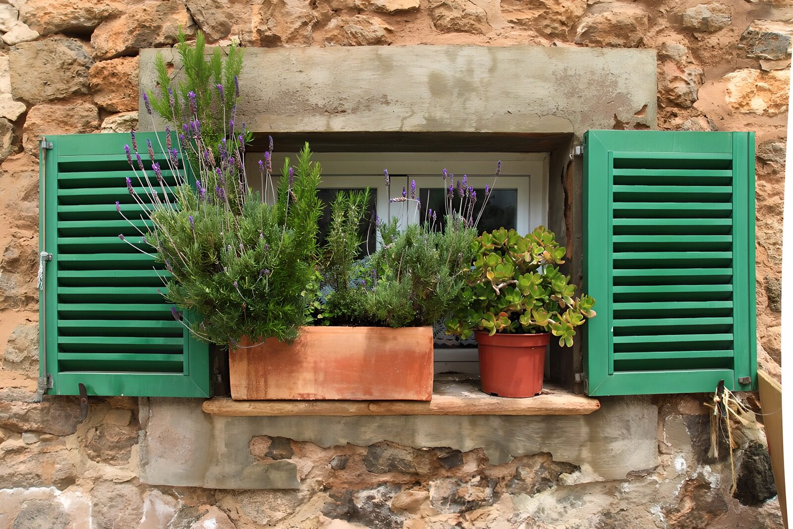 Grünes Fenster mit blühenden Pflanzen