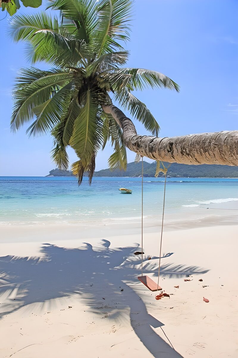 Schwinge unter einer Palme am Strand