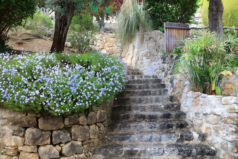 Schön gestalteter Gartenweg mit Blumen